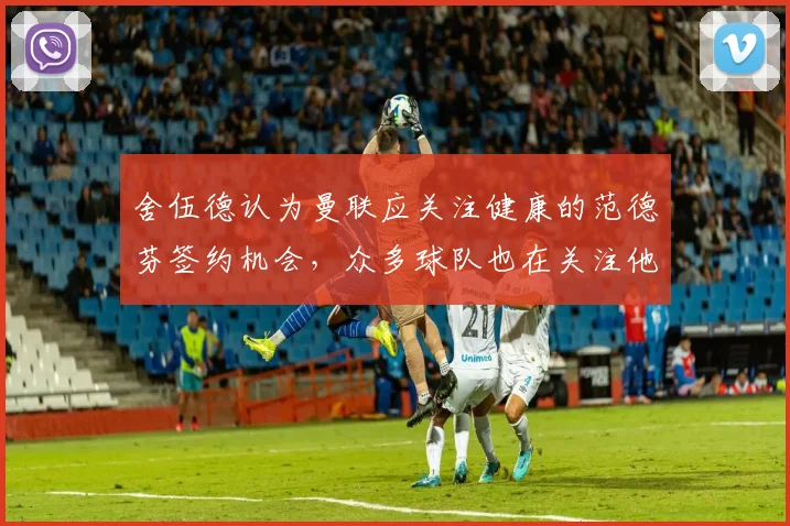 舍伍德认为曼联应关注健康的范德芬签约机会，众多球队也在关注他
