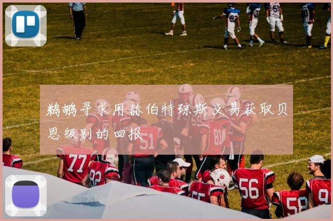 鹈鹕寻求用赫伯特琼斯交易获取贝恩级别的回报