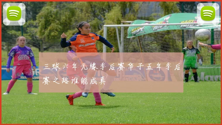 三球六年无缘季后赛华子五年季后赛之路谁能成真